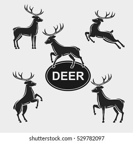 Deer set. Vector