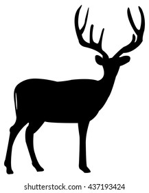 248 White Tail Doe Deer Isolated Stock Vectors, Images & Vector Art ...