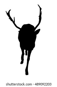 Deer silhouette
