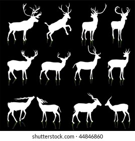 Deer Silhouette Collection Original Vector Illustration