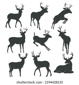 Colección de silueta de ciervo, ilustración de vector