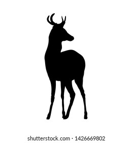 Deer Silhouette. Highly Detailed Smooth Design. Vector Illustration.