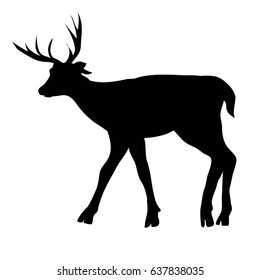 deer silhouette, illustration, vector