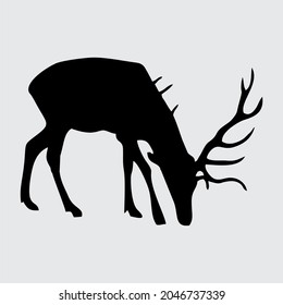 Deer Silhouette, Deer Isolated On White Background