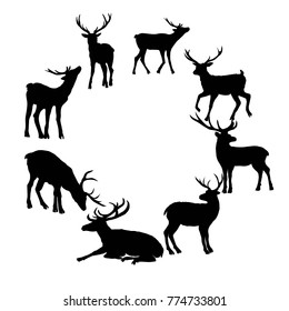 Deer silhouette isolated on white background. Vector, animal, deer, mammal, silhouette, vector, beautiful forest illustration isolated blackandwhite elk horns
