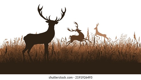 Deer silhouette in the meadow. Vector illustration