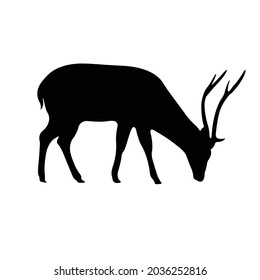 deer Silhouette on isolated background. Vector drawing