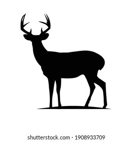 Deer Silhouette on White Background