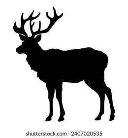 deer silhouette on white background