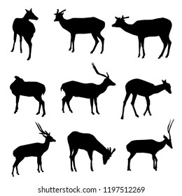 Deer Silhouette Set