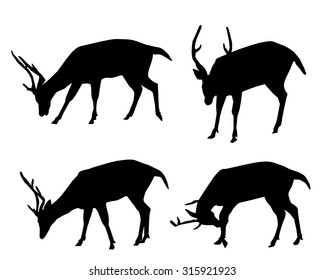 Deer Silhouette Set