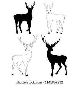 deer silhouette and sketch, vector, illustration, animals, set on white background, animals image