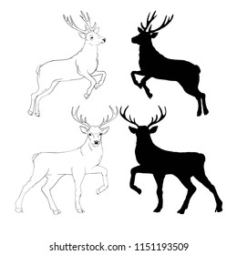 deer silhouette and sketch, vector, illustration, animals, set on white background, animals image