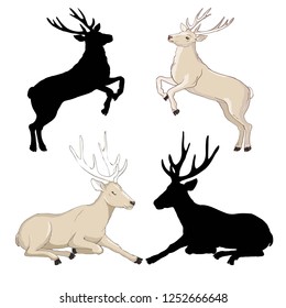 deer silhouette and sketch, vector, illustration, animals, set on white background, animals image