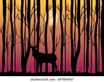 Deer silhouette in the sunset forest vector illustration
woods, sunlight, sun glow