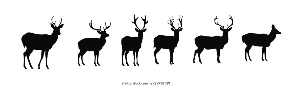 Colección de Vector de silueta de ciervo sobre un fondo blanco. Gacela masculina hermosa con el diseño grande del sistema de la silueta de los cuernos. Ciervo y reno de pie, Paquete de Vector de silueta en blanco y negro.