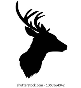 deer silhouette, vector, illustration