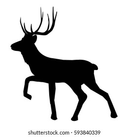 deer silhouette - vector illustration
