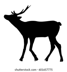 deer silhouette - vector illustration