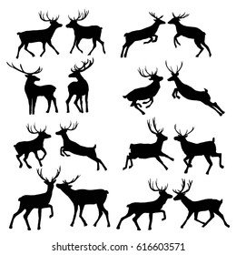 deer silhouette- vector,  illustration