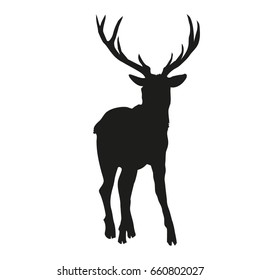 deer silhouette, vector, illustration