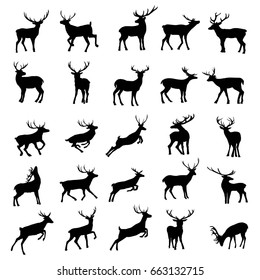 deer silhouette, vector, illustration