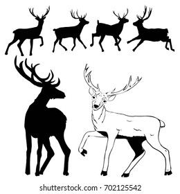 deer, silhouette, vector, illustration