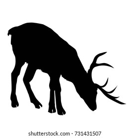 deer silhouette, vector, illustration