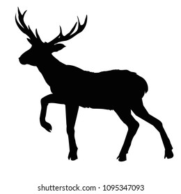deer silhouette, vector, illustration, animal, black, nature