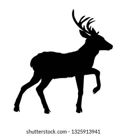deer silhouette, vector, illustration, animal.