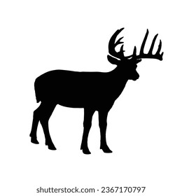Deer Silhouette. Deer Vector Illustration. Deer Artwork.