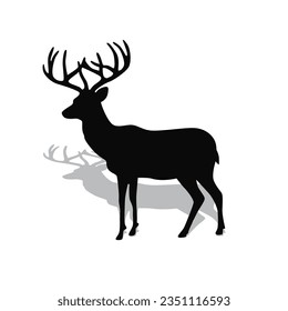 Deer silhouette, wild deers – male, female and roe deer