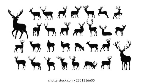 Deer silhouette, wild deers – male, female and roe deer