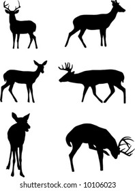 Deer silhouettes.