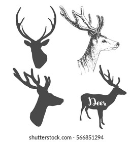 Deer silhouettes set with hand drawn deer head, vector illustration