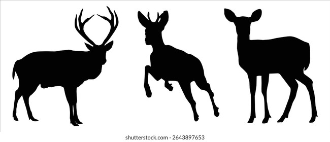 Deer silhouettes set is isolated on a white background