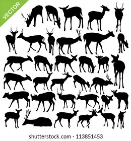 Deer silhouettes vector collections