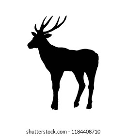 deer silhouettes, vector, illustration, isolated on white background