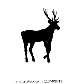 deer silhouettes, vector, illustration, isolated on white background