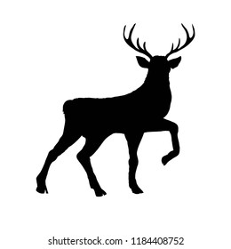 deer silhouettes, vector, illustration, isolated on white background