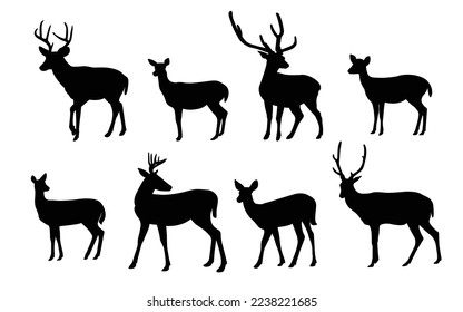 deer silhouette,vector collection. Set of deers silhouettes in various poses vector