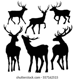 deer silhouette-vector illustration