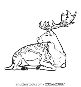 Deer sitting isolated on white background,hand drawn illustration. Vector illustration