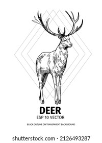 Deer sketch. Hand drawn illustration converted to vector. Black on transparent background