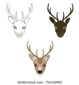 Deer sketch, set, illustration