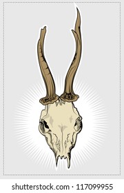 Deer skull