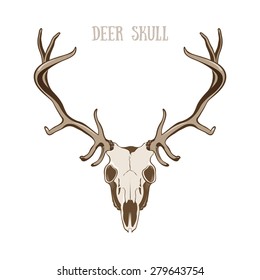 2,302 Deer skull antlers vector Images, Stock Photos & Vectors ...