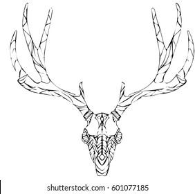Deer skull