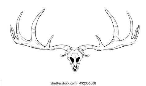 Deer skull with antlers. Black and white sketch of a tattoo. Vector illustration