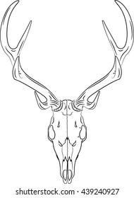 Deer skull black and white, vector illustration